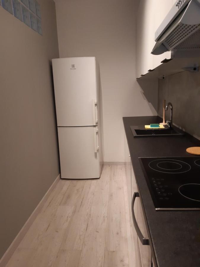Lewa Lodz Apartment Bagian luar foto